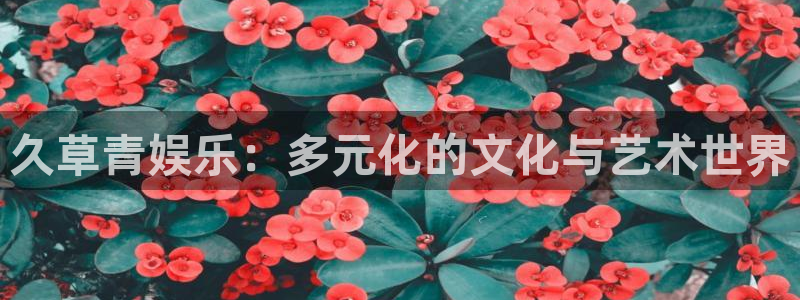 运达娱乐app官网下载