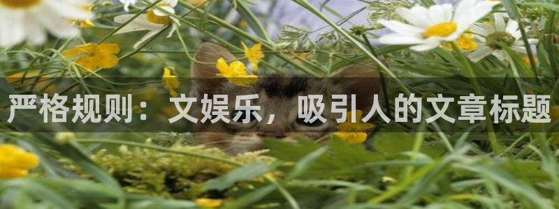 运达娱乐平台app下载安装