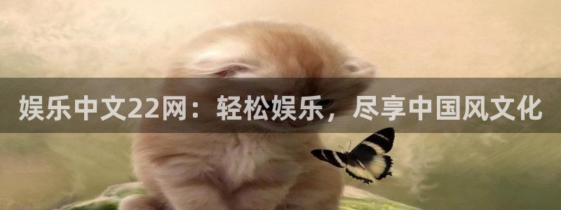 运达娱乐app下载