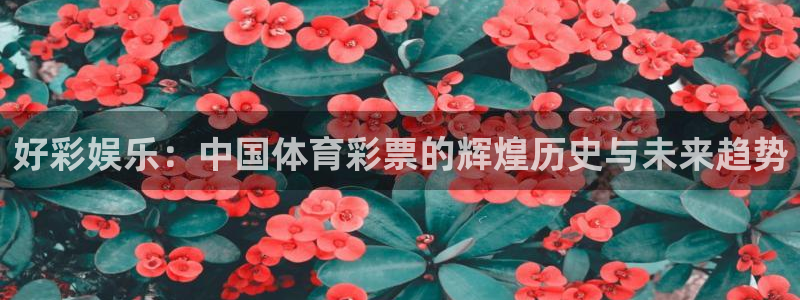 运达娱乐可靠吗
