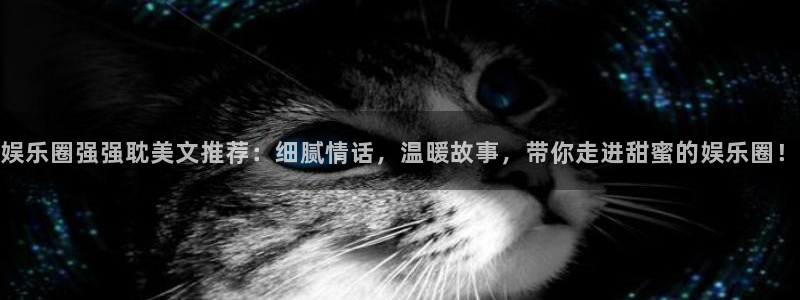 运达娱乐官方网站