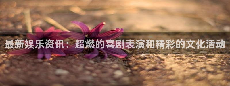运达娱乐加拿大
