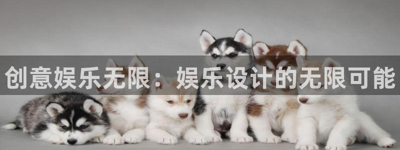运达娱乐平台官网登录入口