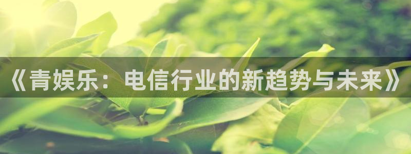 运达娱乐平台官网版下载