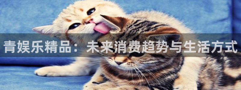 运达娱乐网站