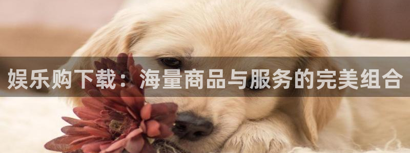 运达娱乐平台app下载安装