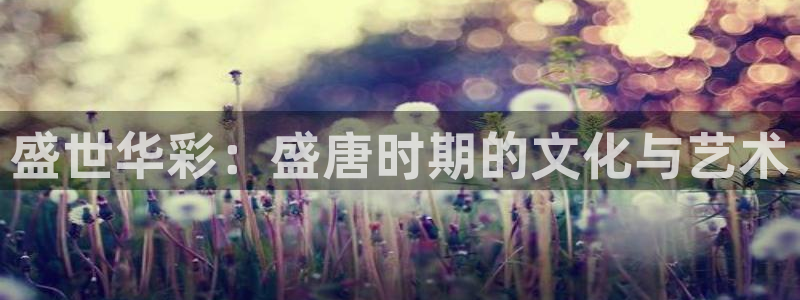 壹号玩家app下载