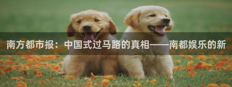 运达娱乐app：南方都市报：中国式过马路的真相——南都娱乐的新