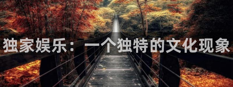 电子游戏运达娱乐：独家娱乐：一个独特的文化现象