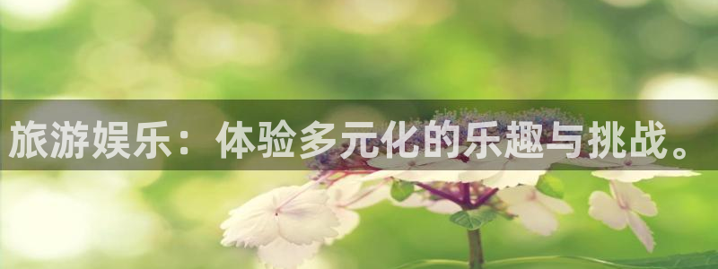 运达娱乐,apk：旅游娱乐：体验多元化的乐趣与挑战。