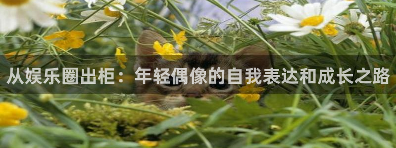 壹号平台下载安装：从娱乐圈出柜：年轻偶像的自我表达和成长之路