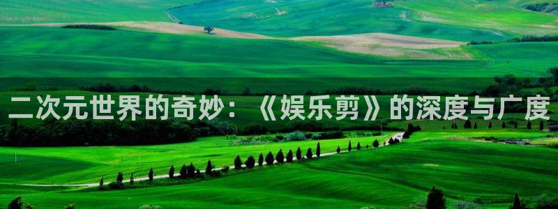壹号app下载苹果：二次元世界的奇妙：《娱乐剪》的深度与广度