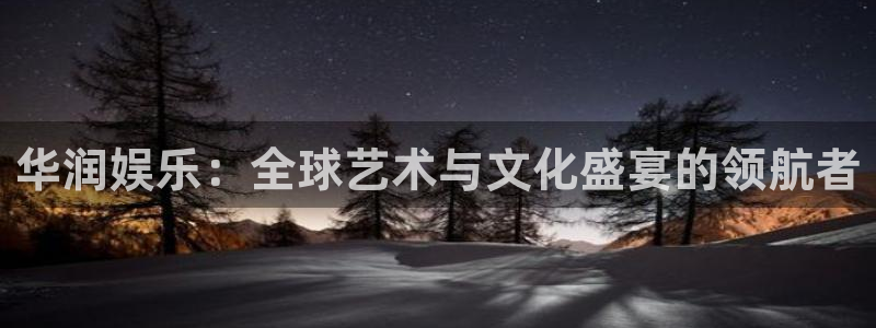 运达娱乐app哪个模式容易赢：华润娱乐：全球艺术与文化盛宴的领航者