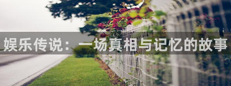 壹号玩家app下载：娱乐传说：一场真相与记忆的故事