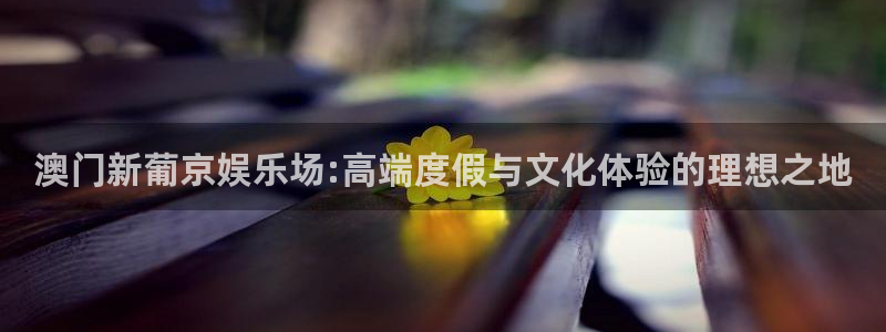 运达娱乐怎么下载