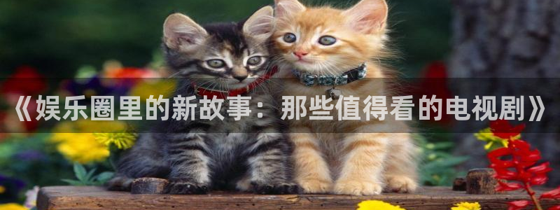 运达娱乐下载官网入口在哪：《娱乐圈里的新故事：那些值得看的电视剧》