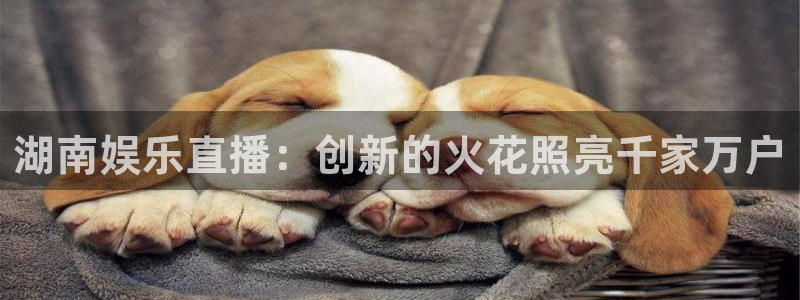 运达娱乐平台登录入口：湖南娱乐直播：创新的火花照亮千家万户