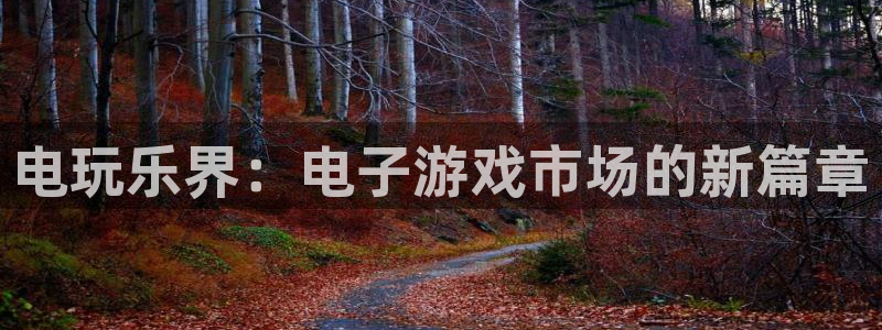 运达娱乐充值怎么退款：电玩乐界：电子游戏市场的新篇章