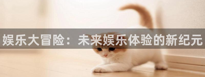 壹号大舞台,有梦你就来：娱乐大冒险：未来娱乐体验的新纪元